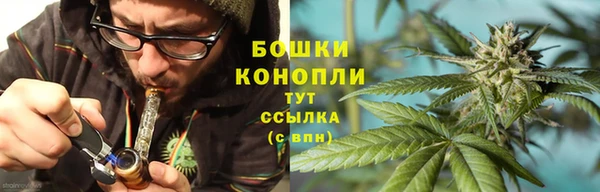 шишки Бугульма