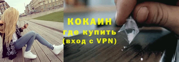 PSILOCYBIN Бородино