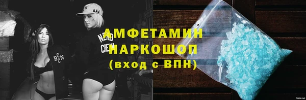PSILOCYBIN Бородино