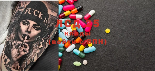 PSILOCYBIN Бородино