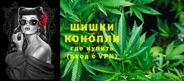 дмт Богородицк