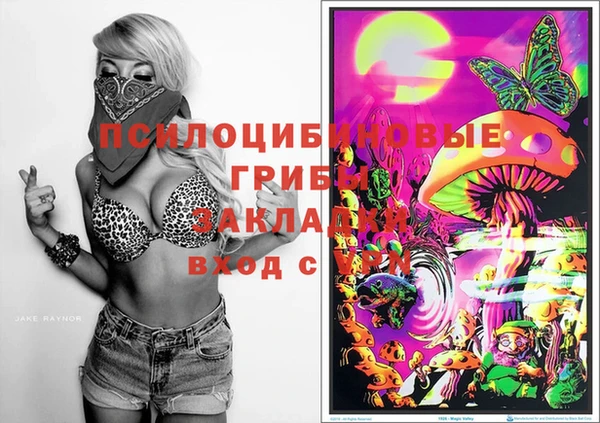 шишки Бугульма