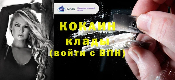 дмт Богородицк