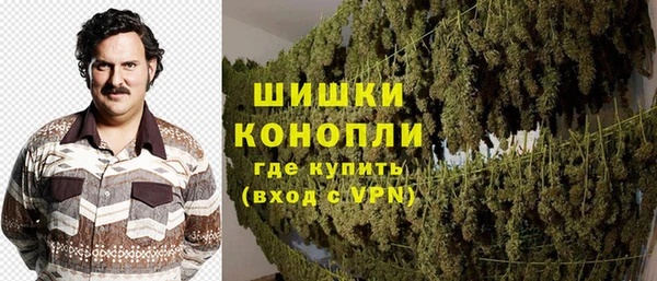 стаф Бронницы