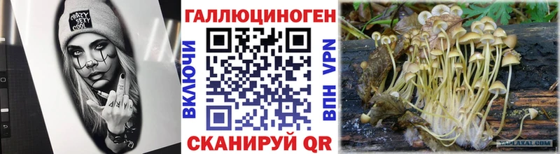 Галлюциногенные грибы Psilocybe ссылка на мегу Новомосковск цены наркотик